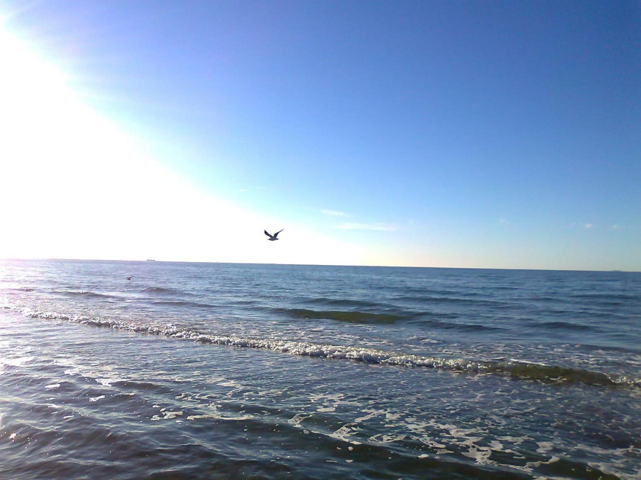 Flat With Sauna In Rerik On The Baltic Sea Eksteriør bilde